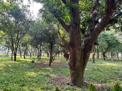 সবুজে ঘেরা ওসমানী উদ্যান