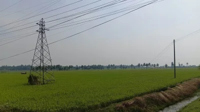 লবণাক্ততার দ্বিমুখী সংকট, মিঠাপানিতে ফিরছে কৃষির আশা