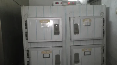 মর্গে দুই মরদেহ