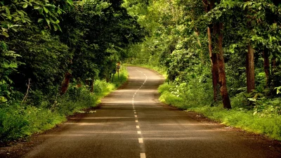 কলকাতা থেকে ঝাড়গ্রাম জেলার বেলপাহাড়ির আমলাশোলে যাওয়ার পতে পড়বে এই ঘন বন (ছবি: সংগৃহীত)