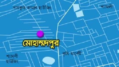 মোহাম্মদপুর