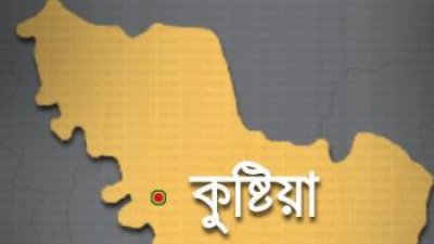 ওরশে এসে পদ্মায় গোসল করতে নেমে যুবকের মৃত্যু