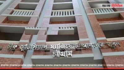 এজলাসে ঢুকে বিচারকের সামনে গলায় ছুরি চালালেন যুবক
