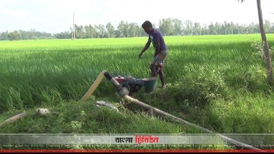 সেচ (ফাইল ছবি)