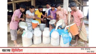 ডেইরি
