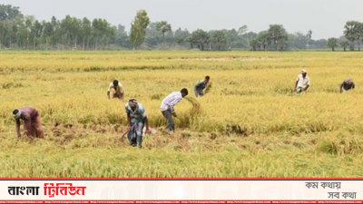 কৃষকদের প্রণোদনা ঋণ দেওয়ার মেয়াদ বাড়লো