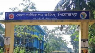 পিরোজপুরের প্রাণিসম্পদ অফিসগুলোয় লোকবলের সংকট
