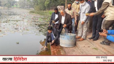 ঘোড়াদীঘিতে অবমুক্ত করা হচ্ছে সুন্ধি কচ্ছপ