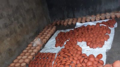 ভেজাল গুড়