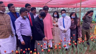 টিউলিপ বাগান পরিদর্শনে কৃষিমন্ত্রী ড. আব্দুর রাজ্জাক