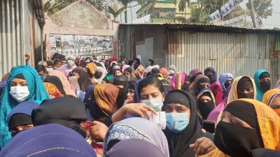 নারী ভোটারদের বিপুল উপস্থিতি সোনাইমুড়ি ও চাটখিলে