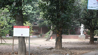 করোনা পরিস্থিতির জন্য উৎসব উদযাপনের অনুমতি পায়নি জাতীয় বসন্ত উদযাপন কমিটি