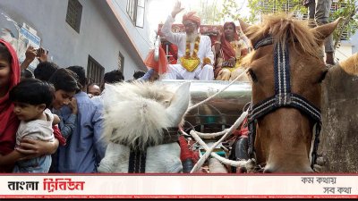 ধুমধামে বুড়োবুড়ির বিয়ে!