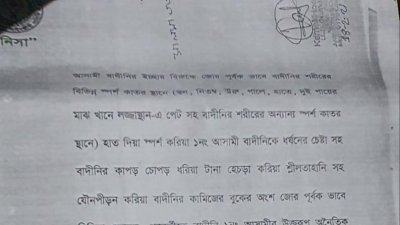মামলার কপি