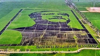 ‘শস্যচিত্রে বঙ্গবন্ধু’