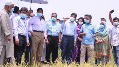 ব্রি পরিদর্শনে কৃষিমন্ত্রী