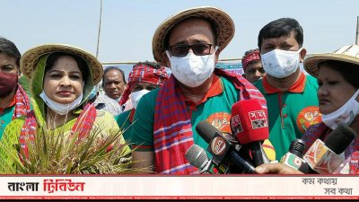 দেখার হাওরে ধান কাটেন কৃষকলীগের কেন্দ্রীয় নেতারা