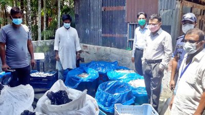 বরিশালের গৌরনদীতে বাড়ির ভেতর থেকে ৪০ মণ জাটকা উদ্ধার করে প্রশাসন।