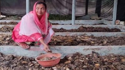 কেঁচো সার উৎপাদনে স্বাবলম্বী তানিয়া