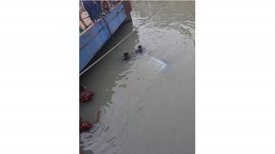 মাইক্রোবাসটি নিয়ন্ত্রণ হারিয়ে পদ্মা নদীতে পড়ে যায়