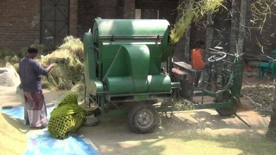 আড়তদাররা ধান না কেনায় বিপাকে কৃষকরা