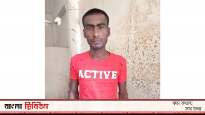 অভিযুক্ত দেলোয়ার হোসেন