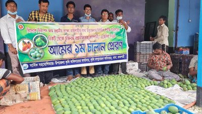 তিন টন ক্ষিরসাপাত আমের প্রথম চালান উপজেলার পাকুড়িয়া থেকে যুক্তরাজ্যে পাঠানো হয়েছে