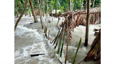 জোয়ার