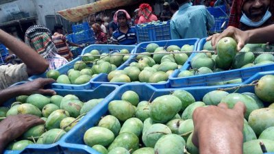 চাহিদা বেড়েছে গোপালভোগের