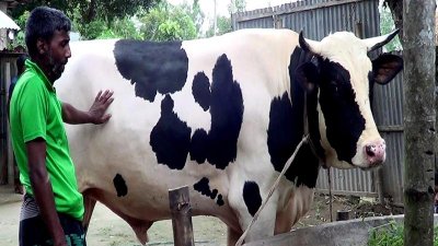 ‘বিগ বসের’ বয়স চার বছর