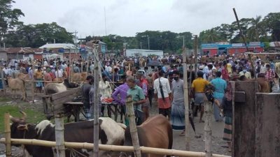 শরীয়তপুরে গরুর হাটে মানুষের সমাগম