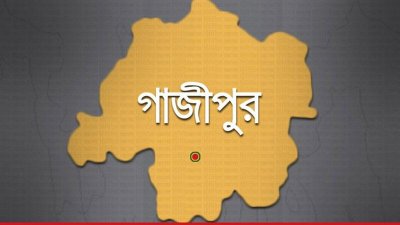 কালিয়াকৈরে করোনায় দুই ভাইয়ের মৃত্যু