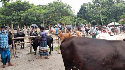 শরীয়তপুর পৌরসভায় স্বাস্থ্যবিধি মেনে শুরু হয়েছে ব্যতিক্রমী কোরবানির পশুর হাট