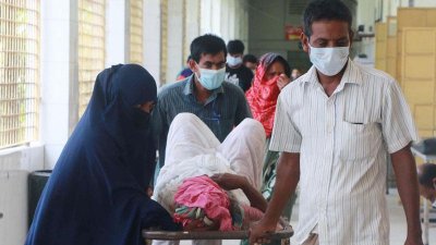 ফাইল ছবি