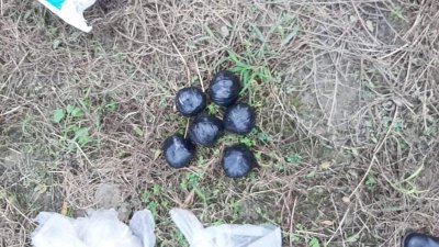 আড়াইহাজারে কবরস্থান থেকে বোমাসদৃশ ৬ বস্তু উদ্বার