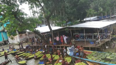 গাছপালা ঘেরা শাখানদী ও খালের ওপর সবুজ পেয়ারাভর্তি নৌকা