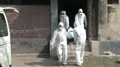 ফাইল ছবি