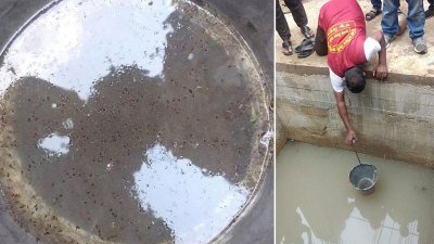 মশার এত লার্ভা দেখে ম্যাজিস্ট্রেট নিজেই বিস্মিত!