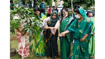 পুনাক সদস্যদের বৃক্ষ রোপণ