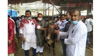 শোক দিবস পালনে ১৫০টি গরু বিতরণ করেন গাজীপুর সিটি মেয়র জাহাঙ্গীর