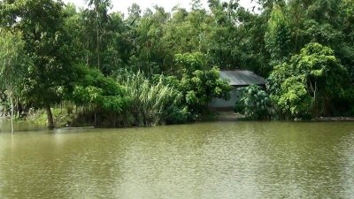 কুড়িগ্রামে নিম্নাঞ্চল প্লাবিত