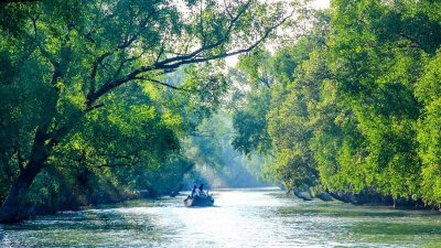 পর্যটকদের জন্য উন্মুক্ত সুন্দরবন (ফাইল ছবি)