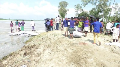 তিস্তায় পানি কমছে, বেড়েছে ভাঙন