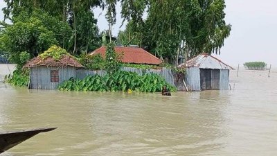 উজানের ঢলে ব্রহ্মপুত্র নদের পানি বাড়ায় কুড়িগ্রামের নিম্নাঞ্চল প্লাবিত