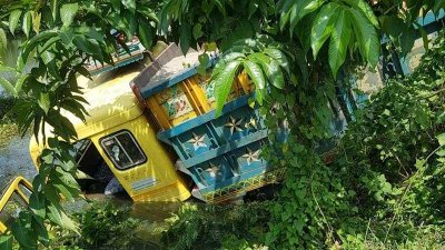 ঘাতক ট্রাক