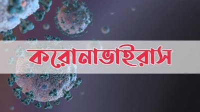 ফাইল ছবি