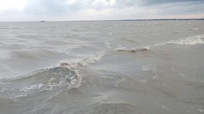 ফাইল ছবি