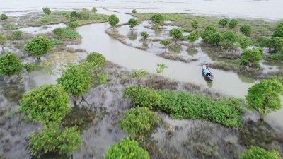 হাওর উপজেলা ইটনার রাংসা বনের আয়তন দিন দিন কমছে