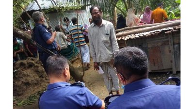 ফাইল ছবি