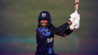 ডেভিড ওয়াইস খেলেছেন হার না মানা ৬৬ রানের ইনিংস